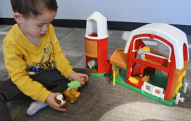 IMG_2992 IMG_2992