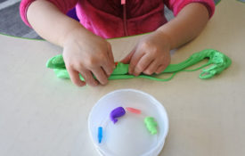 IMG_2994 IMG_2994
