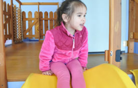 IMG_2997 IMG_2997